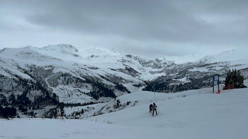 Immagine gratuita di collina, inverno, montagne