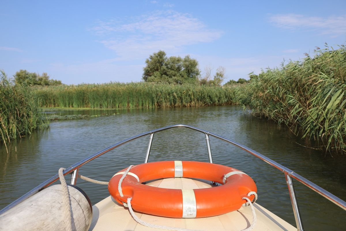 Prova unei barci pe canal, intre pereti de stuf si salcii