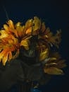 Close-up of Yellow Flowers on Black Background