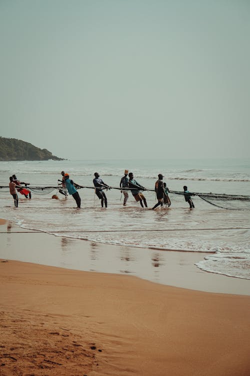 People Towing Fishing Net on Sea Shore