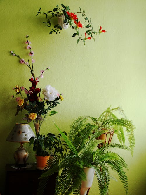 Foto stok gratis bagian dalam, bunga-bunga, dinding
