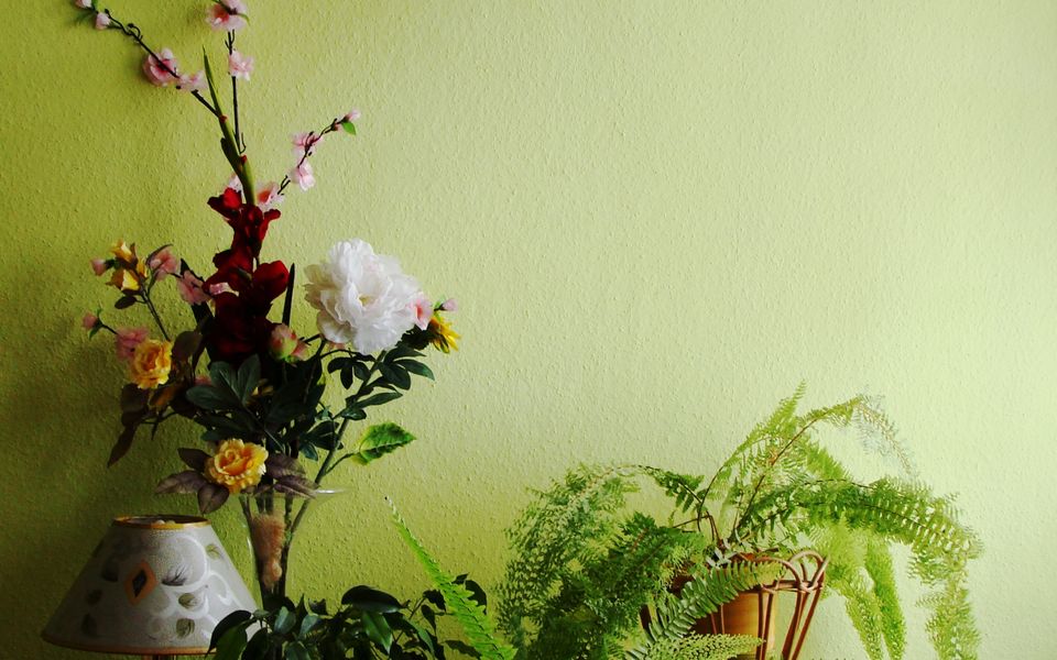 This season’s colour is dark green — but do not paint the whole room