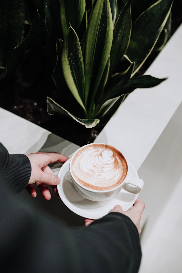 Photo Of Coffee Art In A Cup Held By Two Hands Next To A Plant