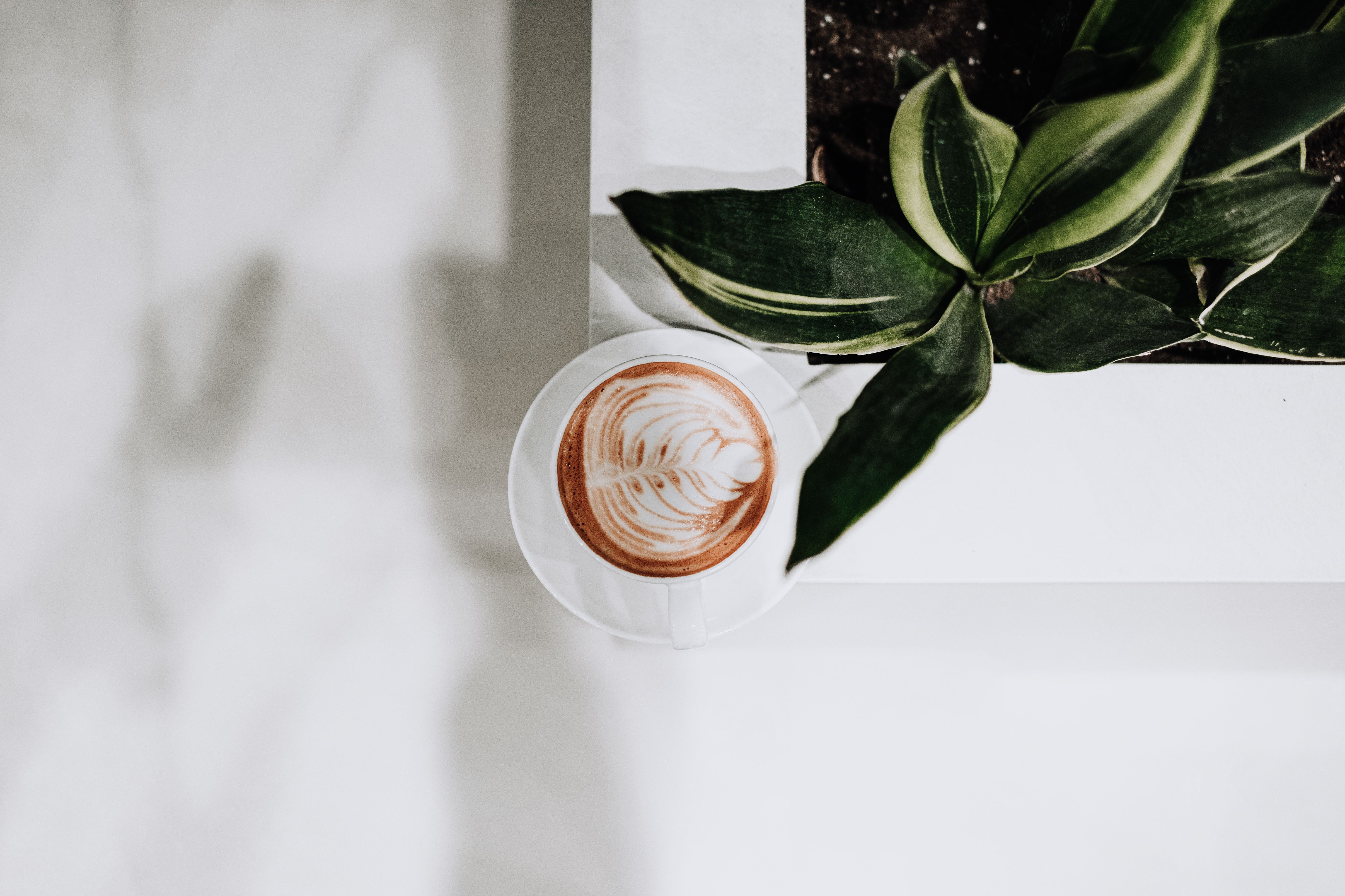 Barista pouring steamed milk into espresso to make a flat white
