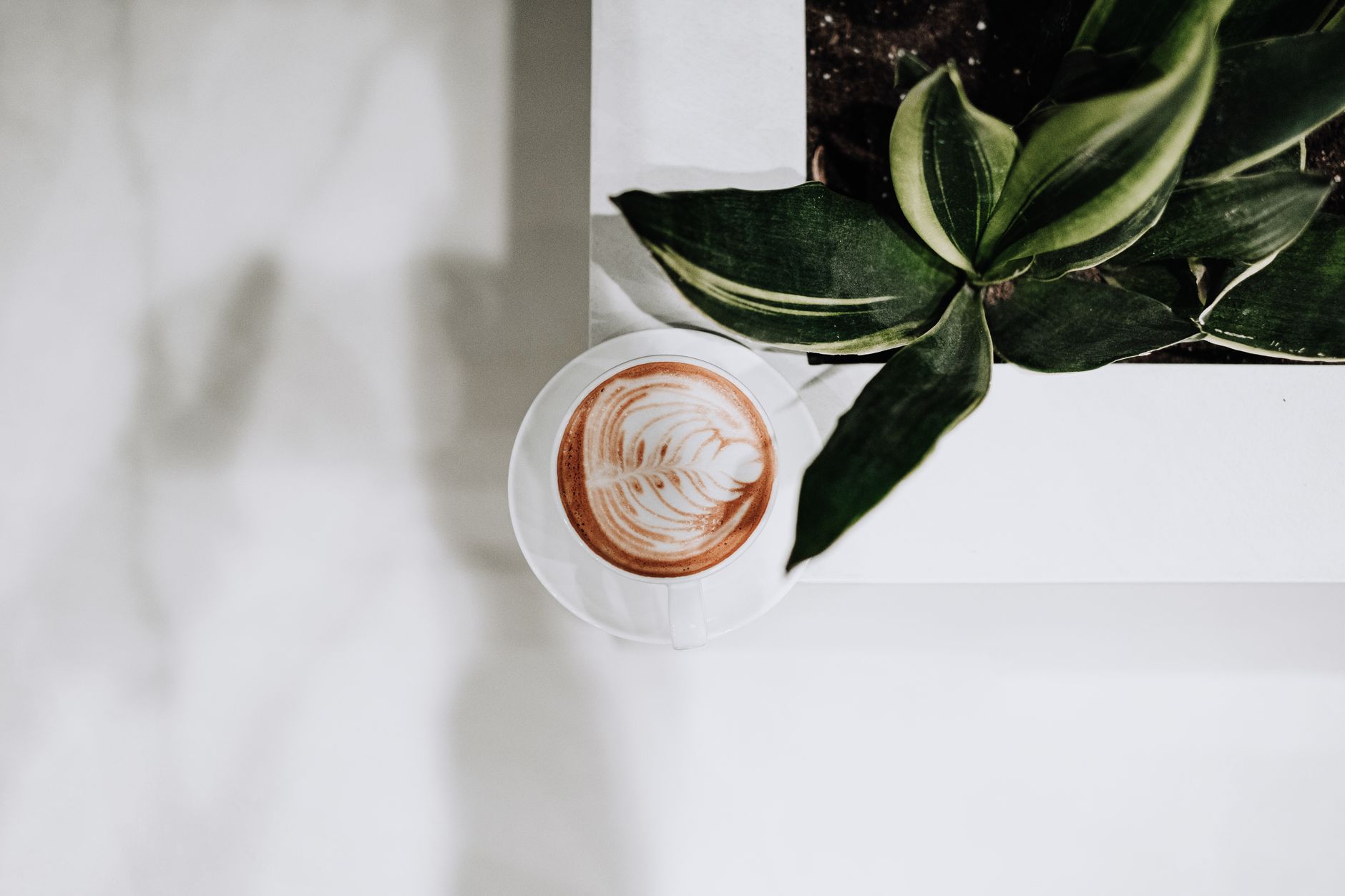 Barista pouring steamed milk into espresso to make a flat white