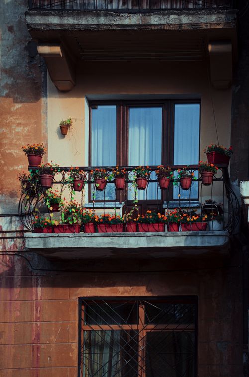 Free A quaint balcony adorned with vibrant potted plants and flowers on an aged building exterior. Stock Photo
