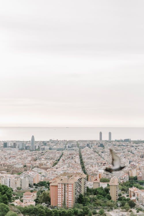 Ilmainen kuvapankkikuva tunnisteilla barcelona, ilmakuvaus, kaupunki