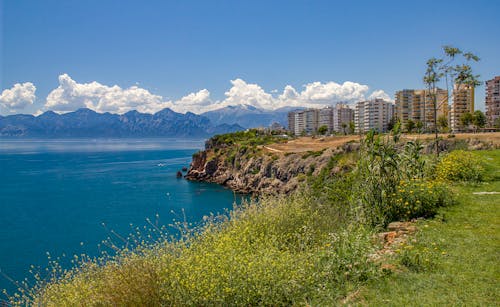 Fotos de stock gratuitas de antalya, arbustos, ciudad