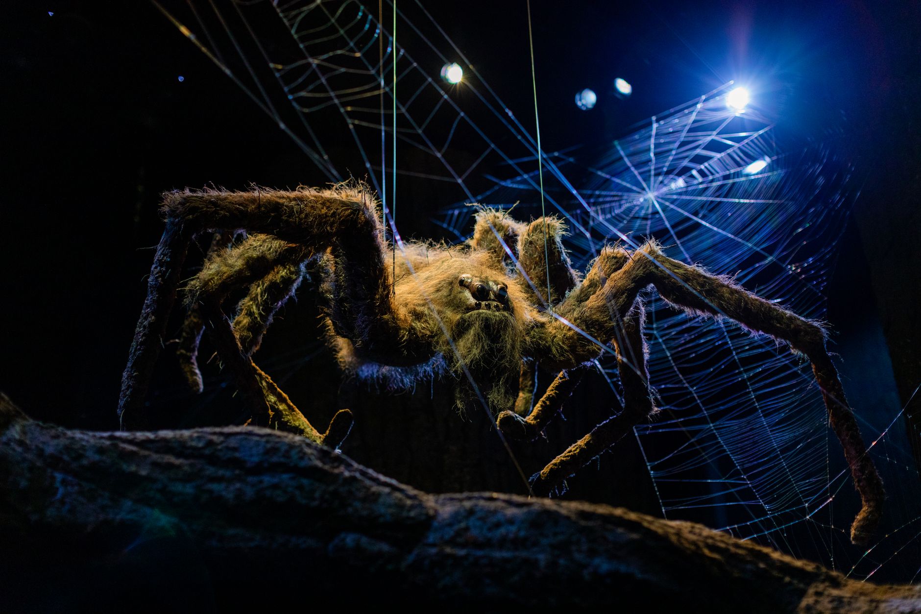 A close-up shot of a spider on its intricate web, illuminated dramatically at night.