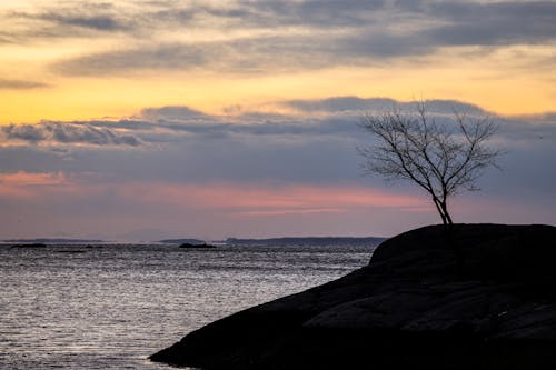 Darmowe zdjęcie z galerii z morze, ocean, wschód słońca