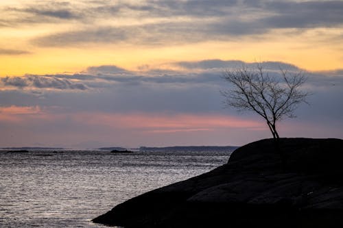 Foto profissional grátis de costa, crepúsculo, Hora dourada