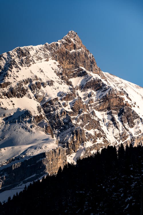 Imagine de stoc gratuită din erodate, fotografiere verticală, frig