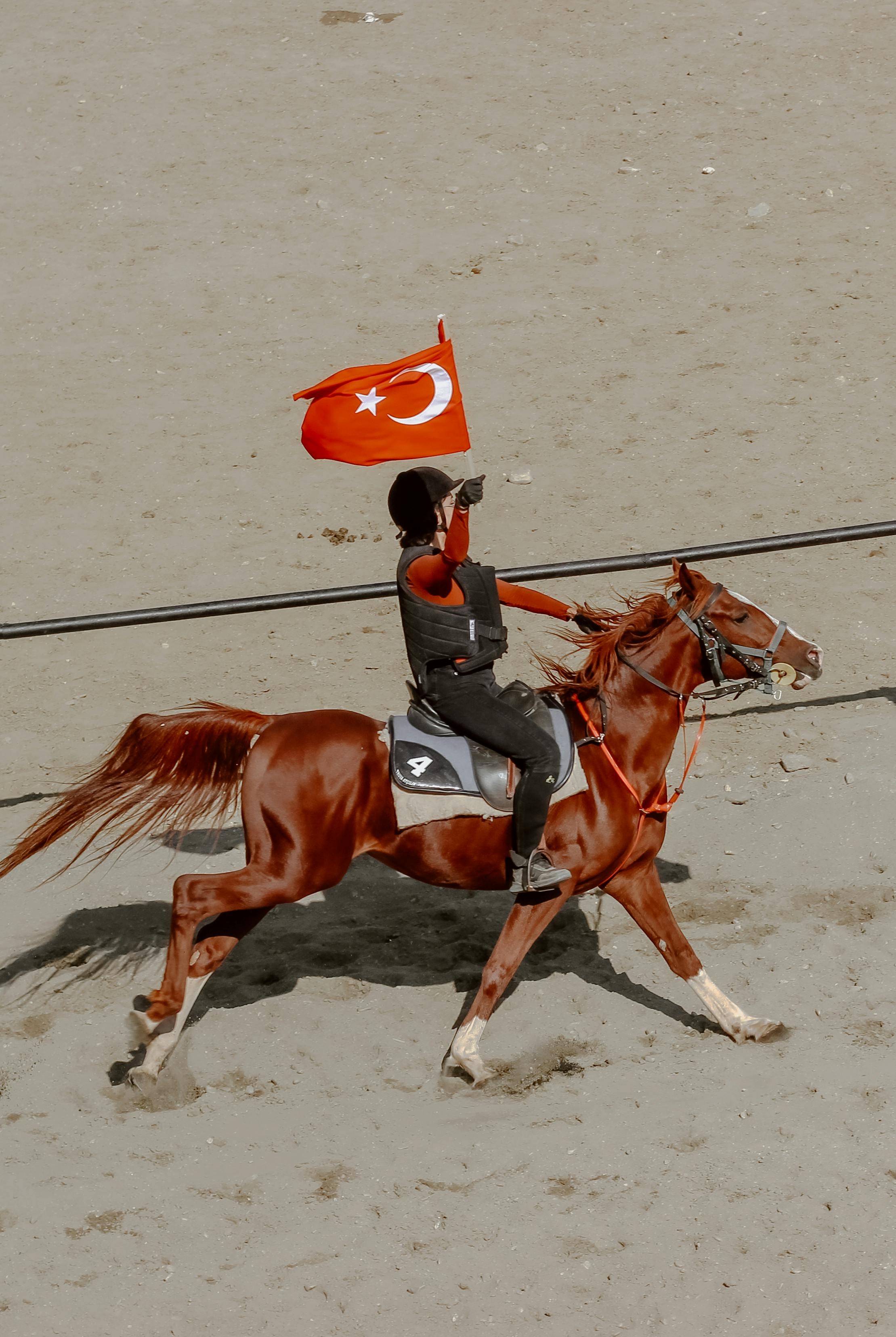 Turk bayragi : 299 images, photos de stock, objets 3D et images