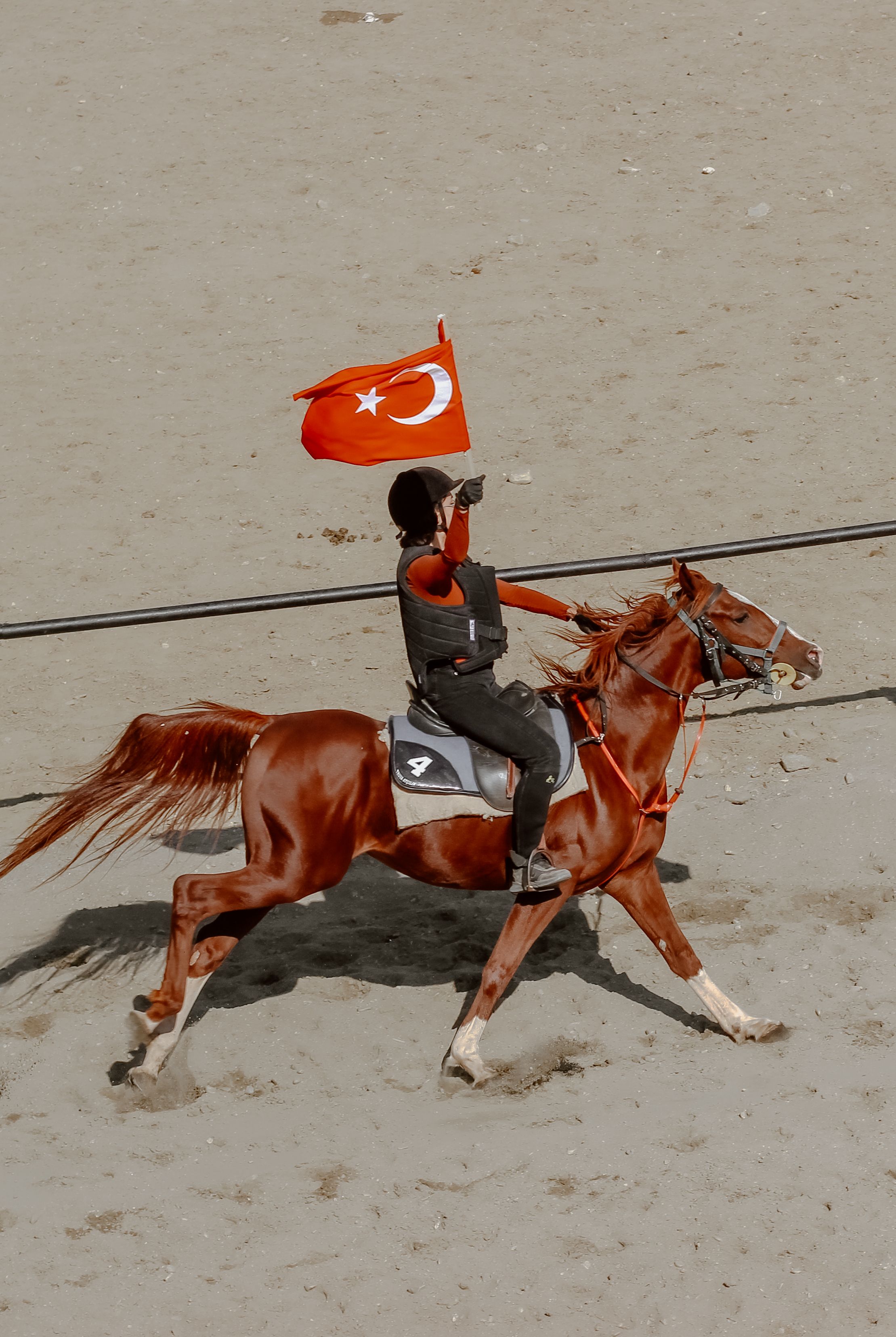 Jockey Riding Horse with Flag of Turkey · Free Stock Photo