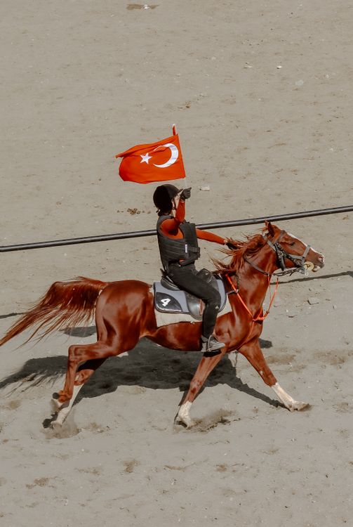 Turkey With Racing Flags Jockey Riding Horse with Flag of Turkey · Free Stock Photo