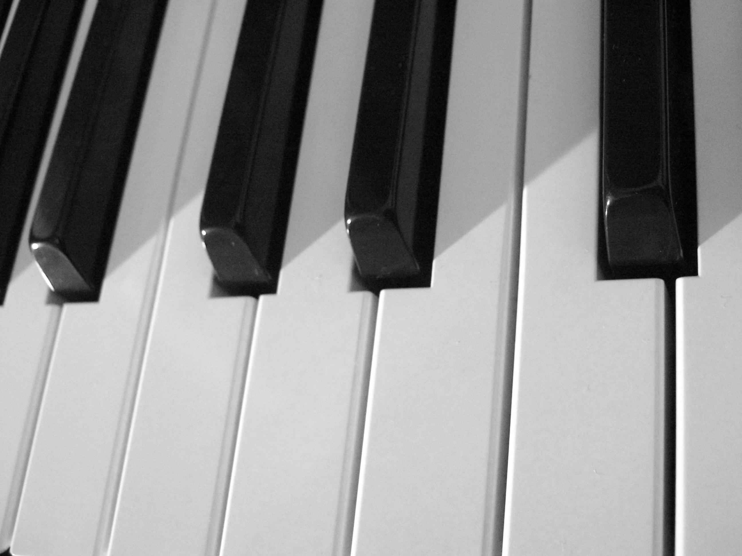 Free stock photo of black and white, keyboard, keys