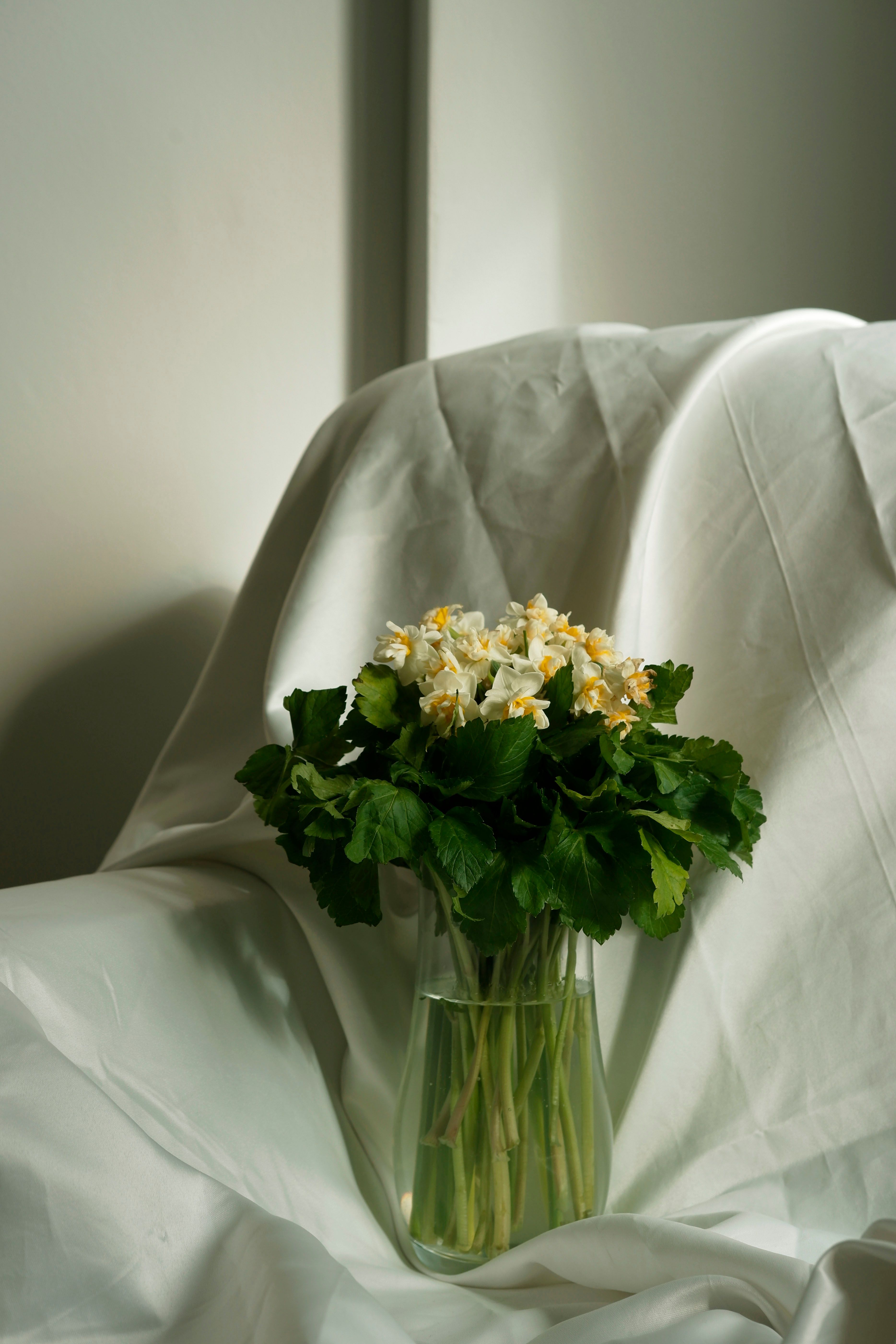 A delicate bouquet of white flowers elegantly arranged in a glass vase for a classic decor.