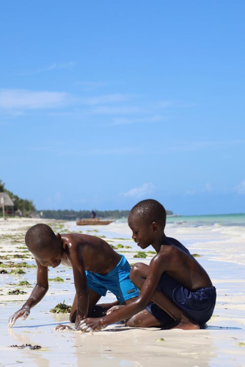 Free Boys Playing on the Beach  Stock Photo