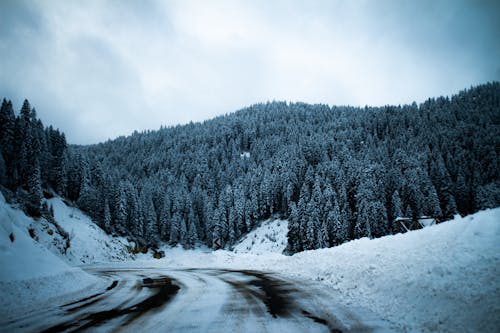 Clouds over Forest near Road