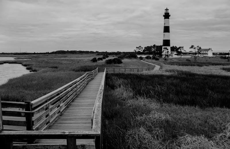 Black And White Photography Photos, Download The BEST Free Black And ...