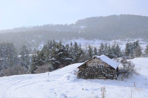 Ücretsiz açık hava, dağlar, don içeren Ücretsiz stok fotoğraf Stok Fotoğraflar