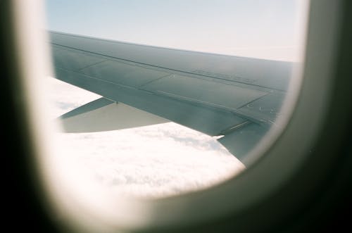 Foto d'estoc gratuïta de aeroport, aire, ala de l'avió