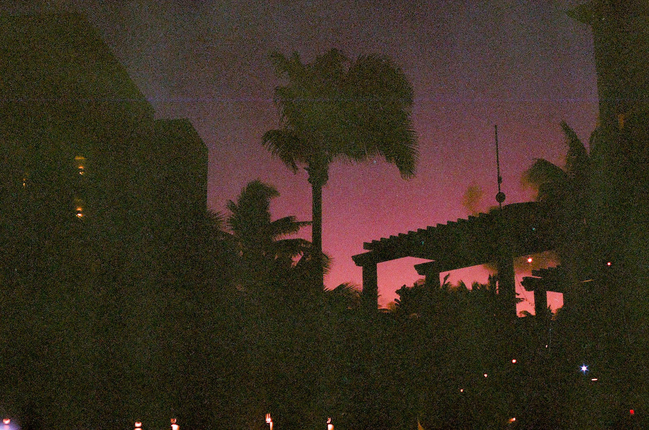 Gratis Silhouette Di Palme Durante Il Tramonto  Foto a disposizione