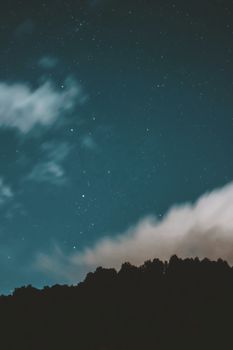 A serene night sky filled with stars and clouds above silhouetted trees.