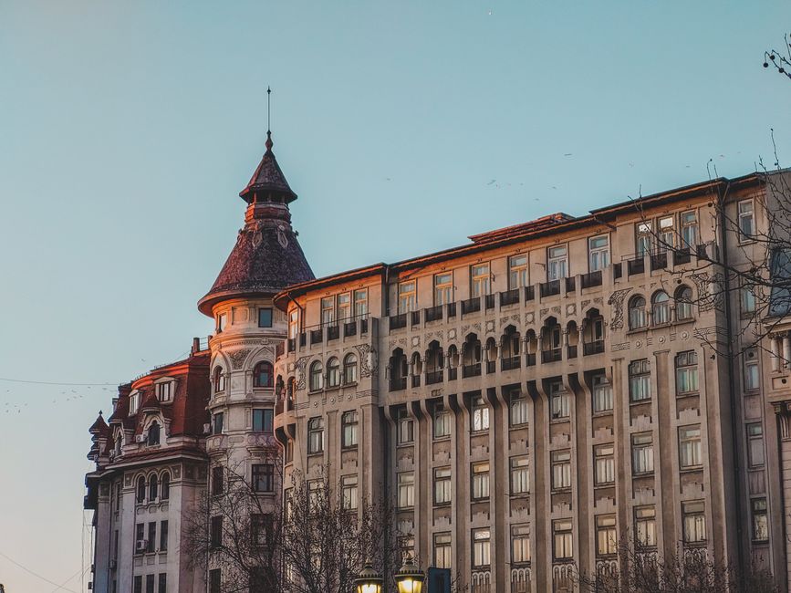 CNCD avertizează Universitatea din București pentru discriminarea unei masterande cu dislexie