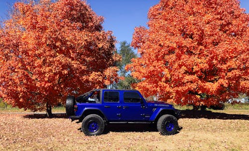 Blue Jeep Wrangler Suv Near Orange Leafed Trees