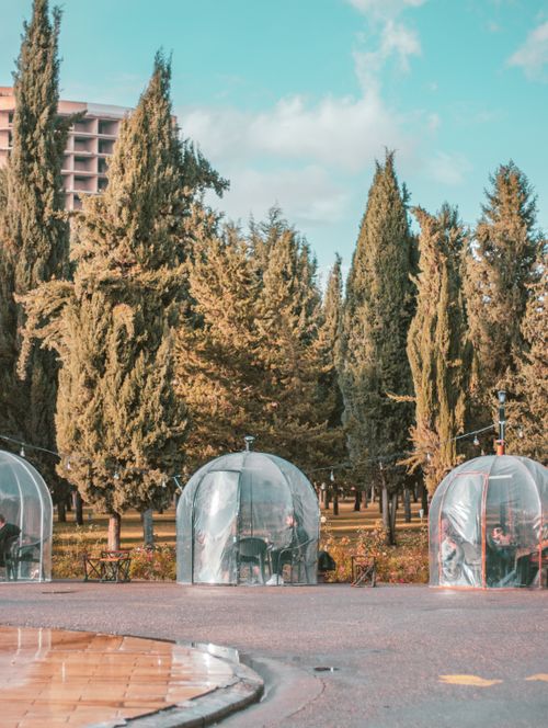 Free Image of transparent pods amidst tall trees in a park in Erbil, Iraq. Stock Photo