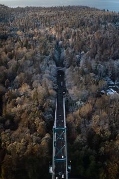 Stunning aerial view of a bridge cutting through dense forest in Vancouver, Canada.