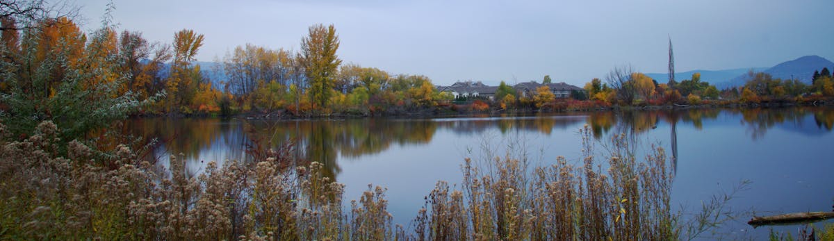 Free stock photo of lake trees brush sky pond fall water colour
