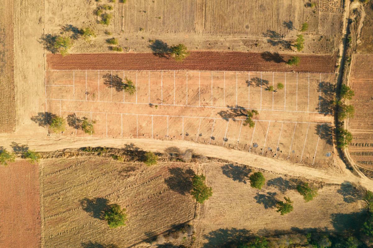 Aerial view of farmland divided into plots