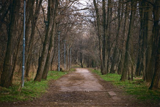 Plovdiv, Bulgaria photo 9