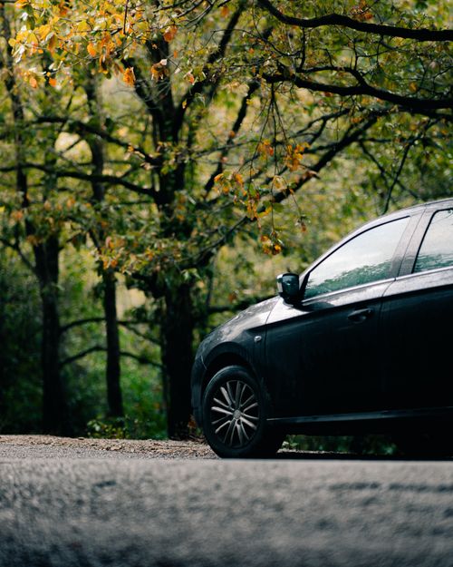 Free A car parked on a rural road surrounded by dense autumn forest in Ayn Darahim, Tunisia. Stock Photo