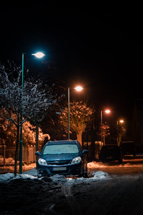 açık, ağaç, Almanya içeren Ücretsiz stok fotoğraf