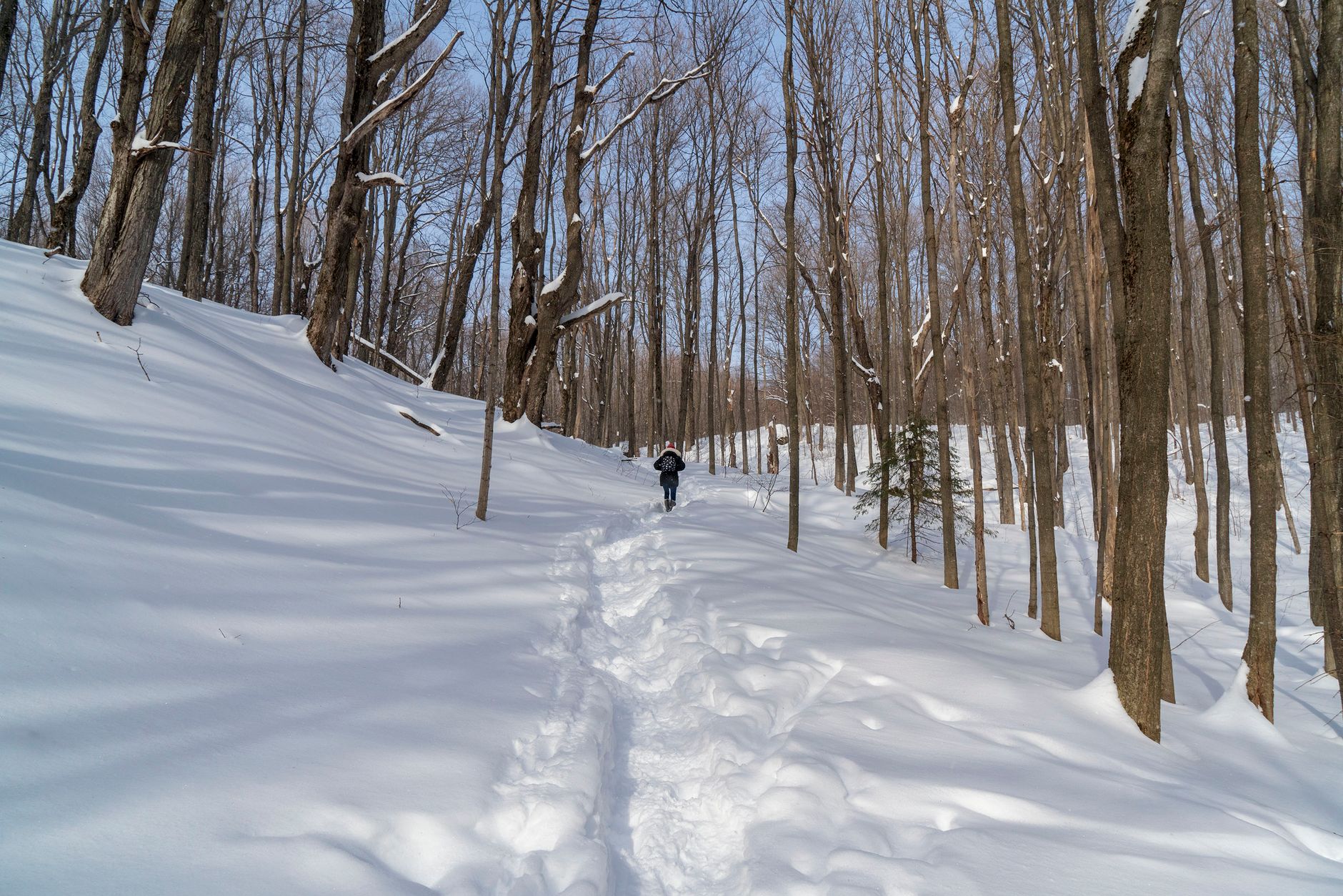 La route bleue - Rivière Richelieu - Île Sainte-Thérèse - Sud