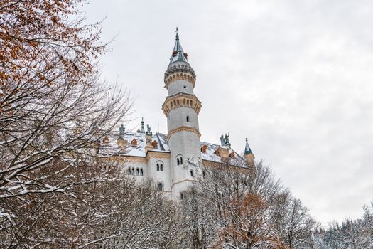 Neuschwanstein Castle before the coaches — Munich
