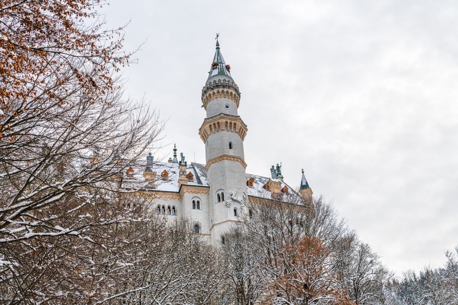 A stunning view of Neuschwanstein Castle tower surrounded by winter trees in Bavaria, Germany.