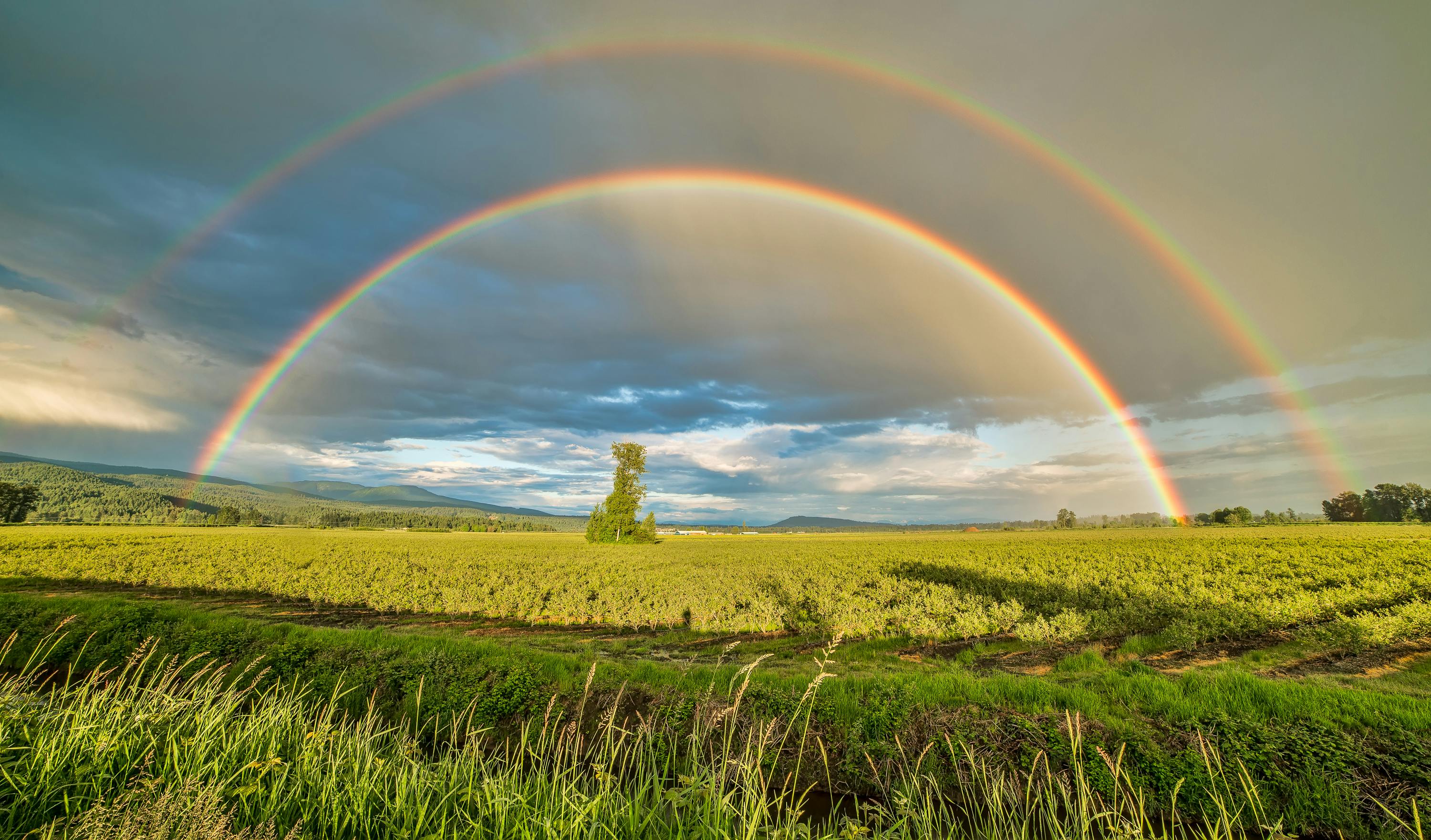 3610 Rainbows and Clouds Wallpaper By Belgravia