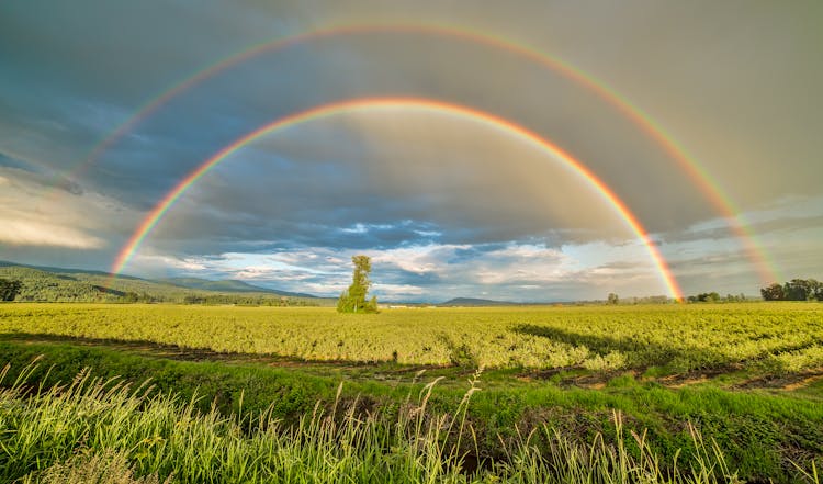 Crop Field Under Rainbow And Cloudy Skies At Dayime