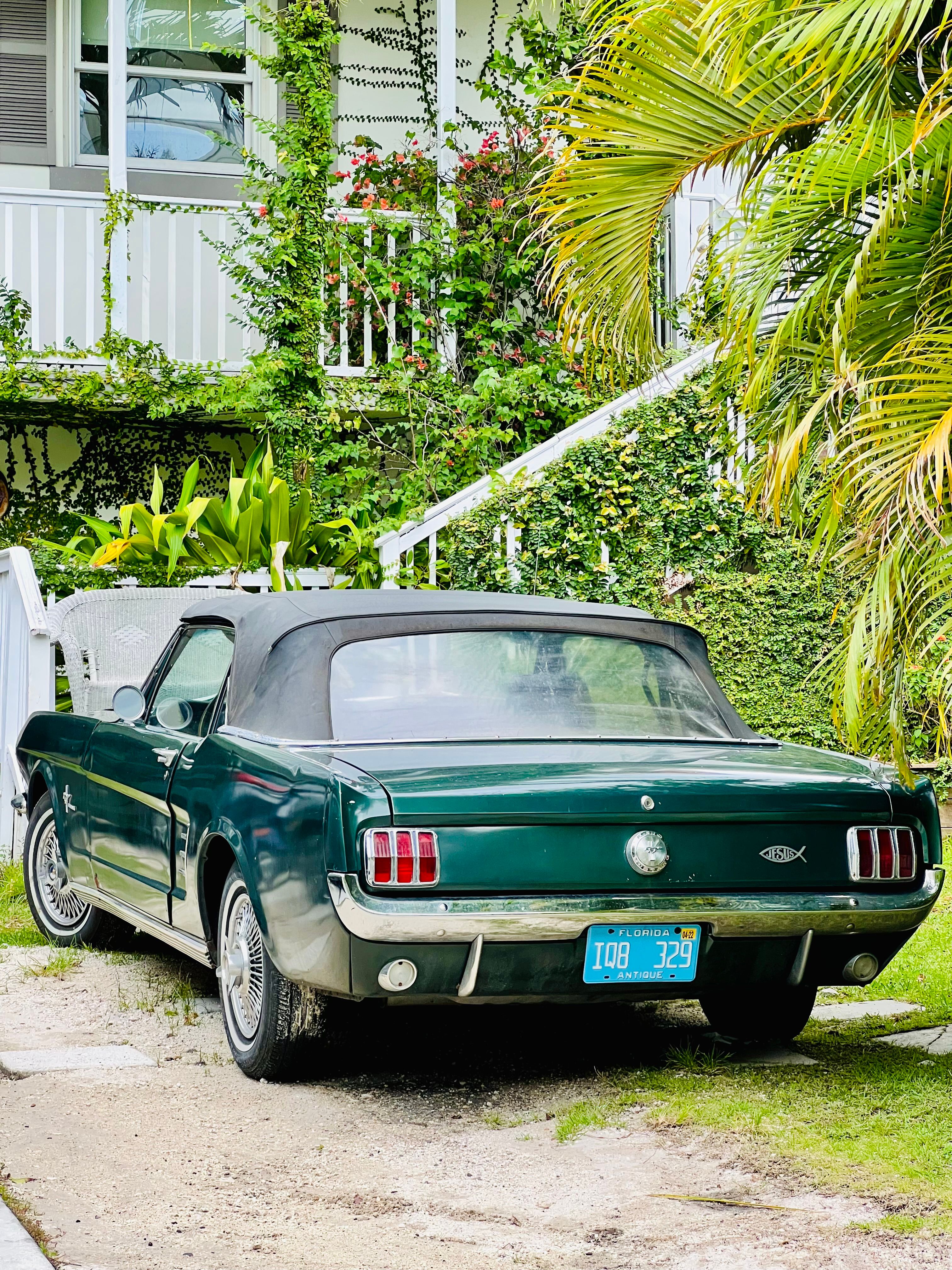Desktop Backgrounds Ford Mustang 1960 Photos,