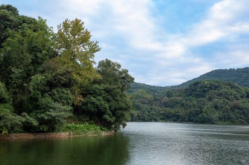 Free Peaceful summer scene of forest and lake under a cloudy sky, ideal for nature projects. Stock Photo