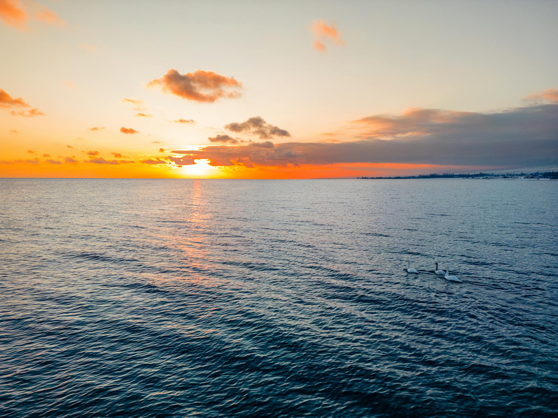 Free stock photo of aerial image, beach, beautiful sunset