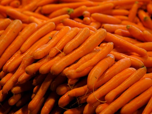 Close-up of Lots of Clean Carrots