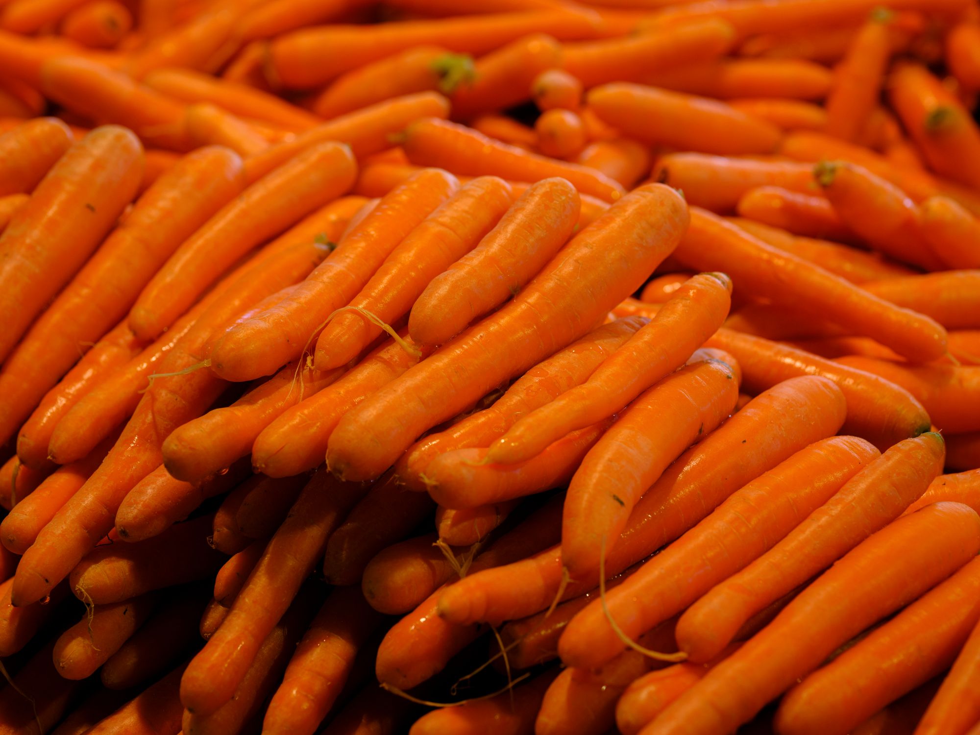 Close-up of Lots of Clean Carrots · Free Stock Photo