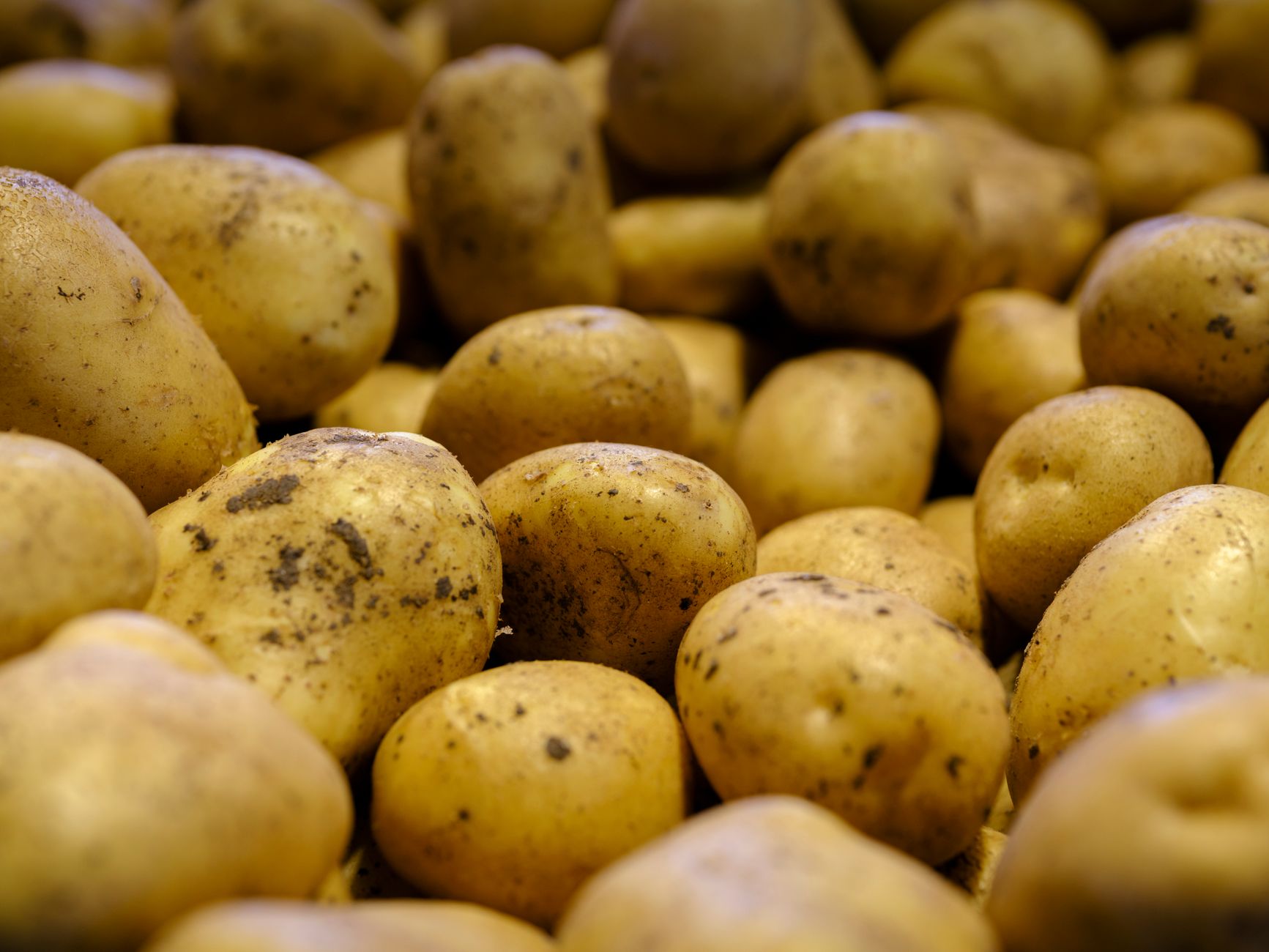 Digital kitchen scale weighing potatoes for recipe