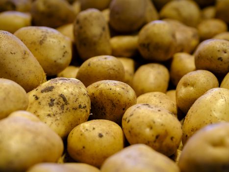 fresh potatoes at the market