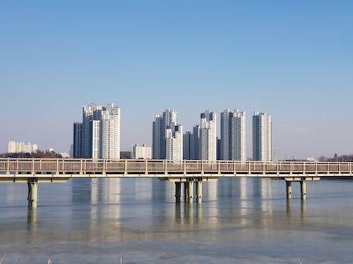 View of a Bridge over a Body of Water and Skyscrapers in the Background 